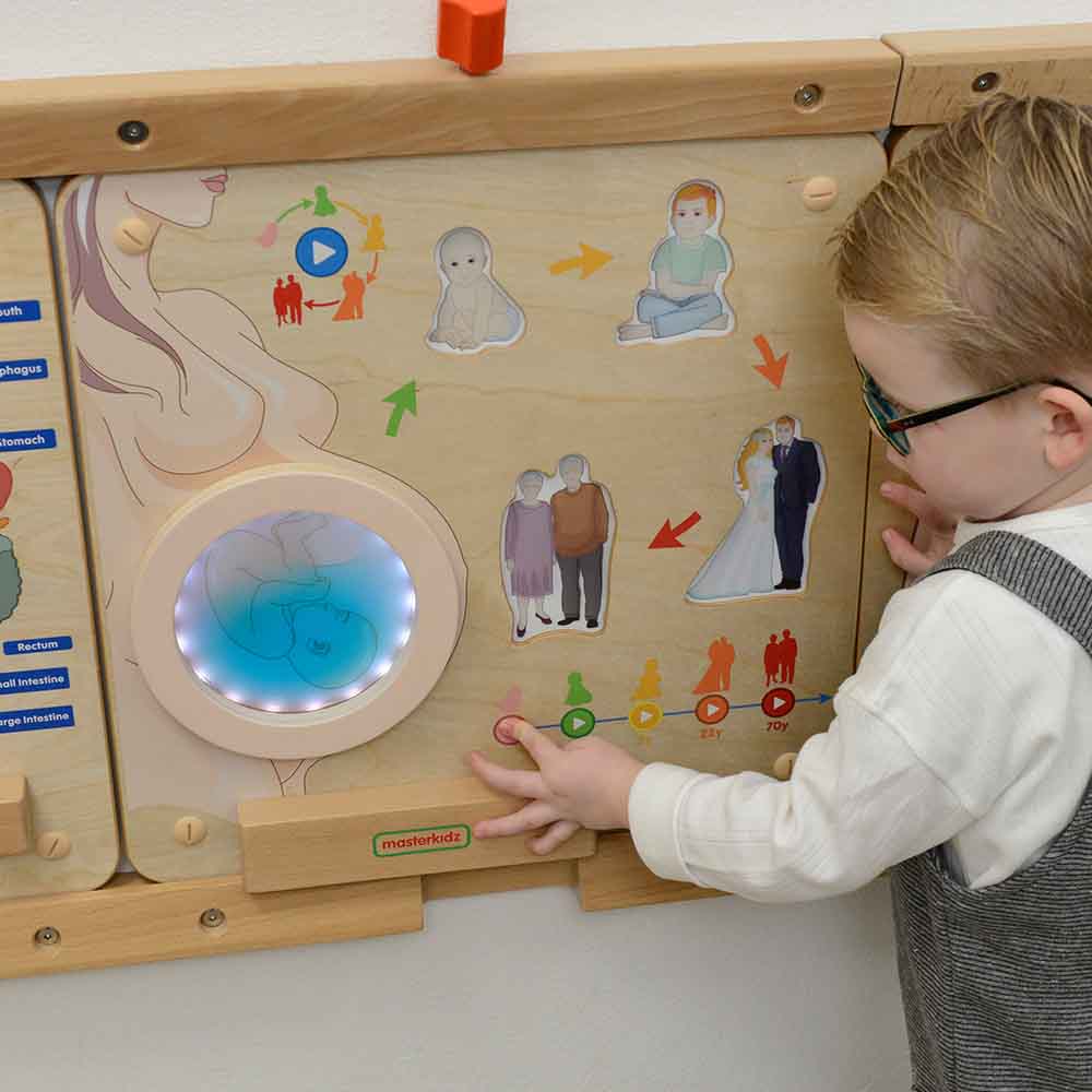 How to Choose the Perfect Human Body Wall Board for Preschoolers | Masterkidz Science Learning