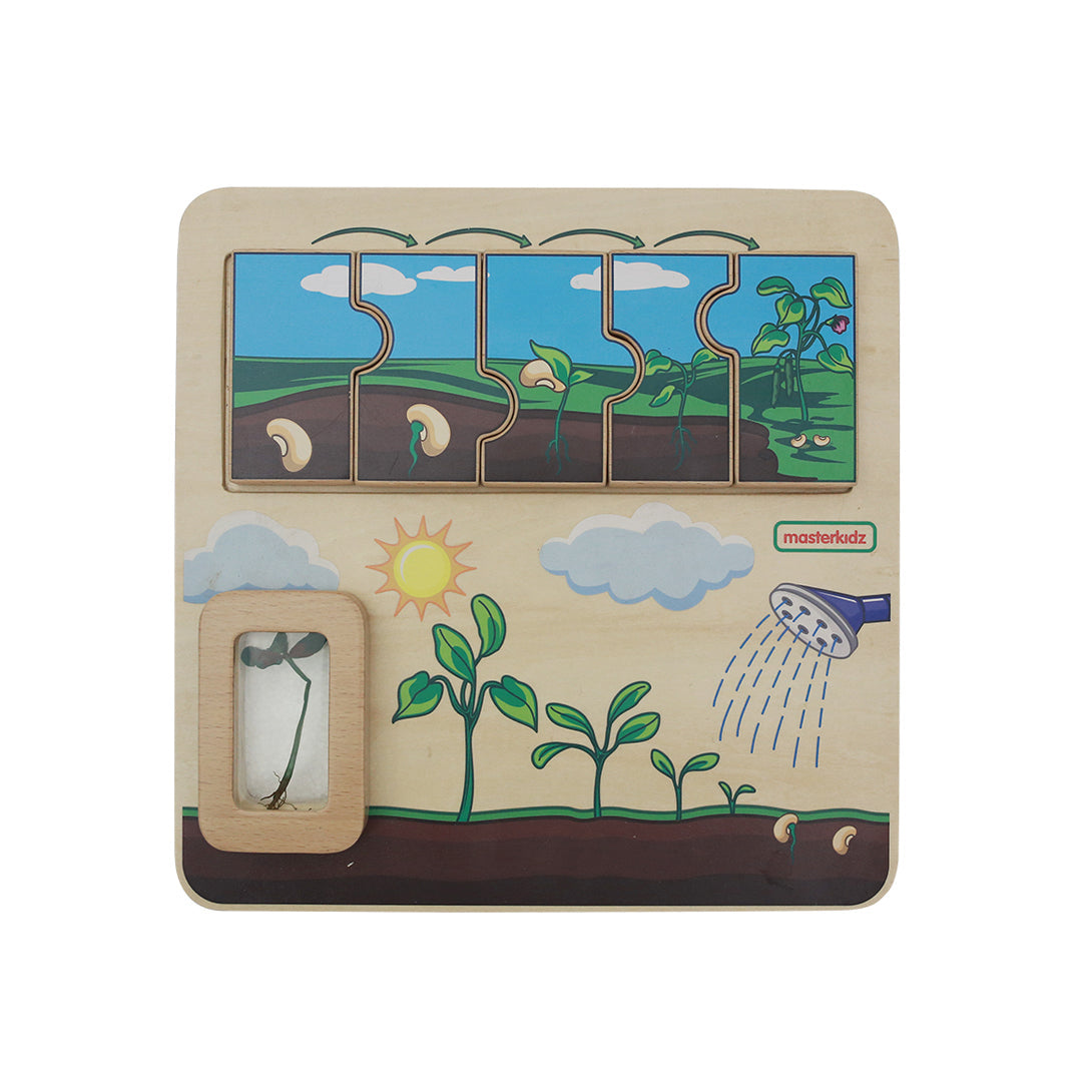 Bright and colorful Masterkidz plant life cycle activity board.