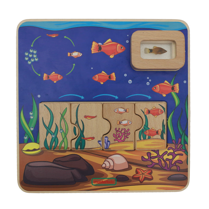 Toddlers exploring egg, larva, juvenile, and adult fish stages.