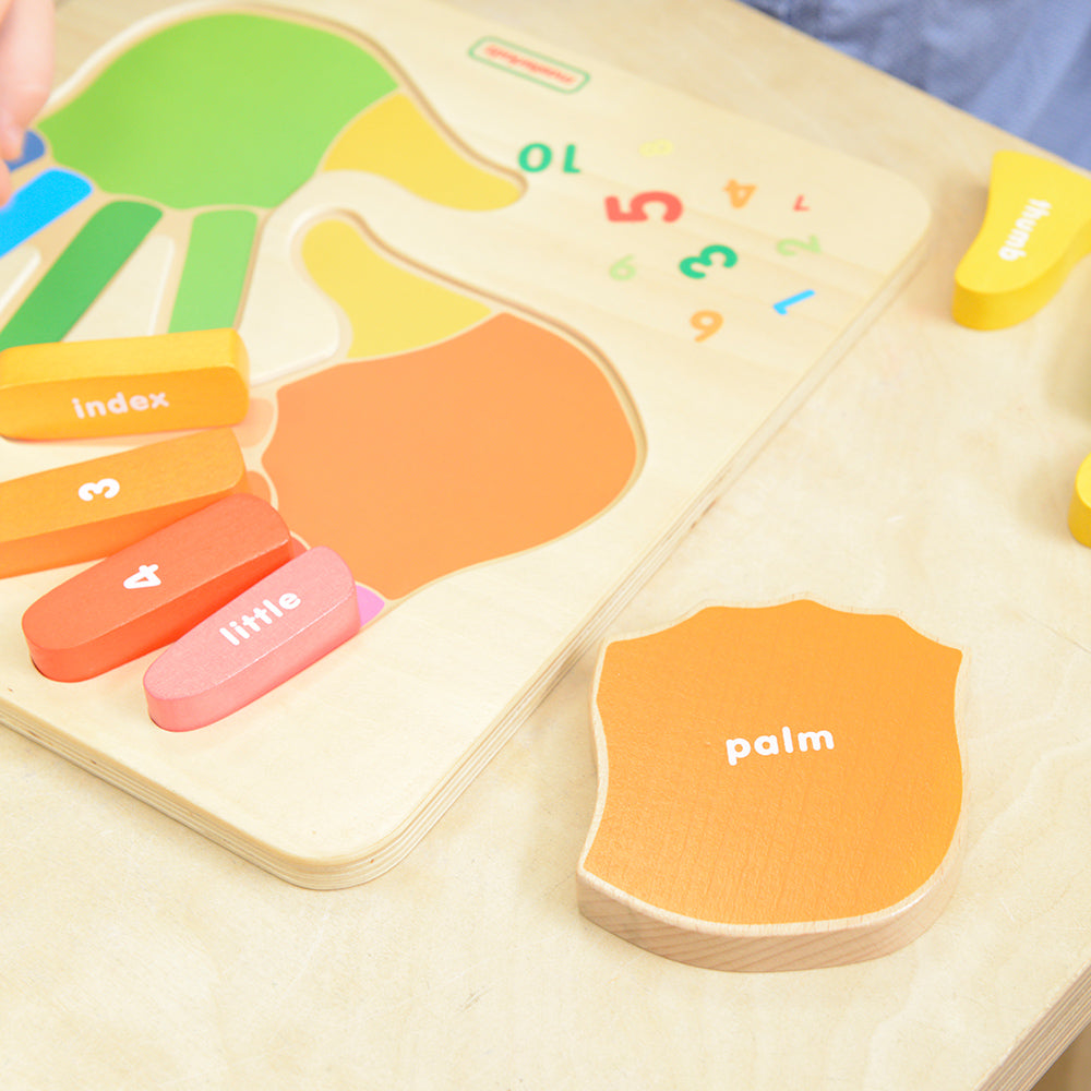 Smooth beechwood texture highlighting safe, durable craftsmanship for everyday classroom use.