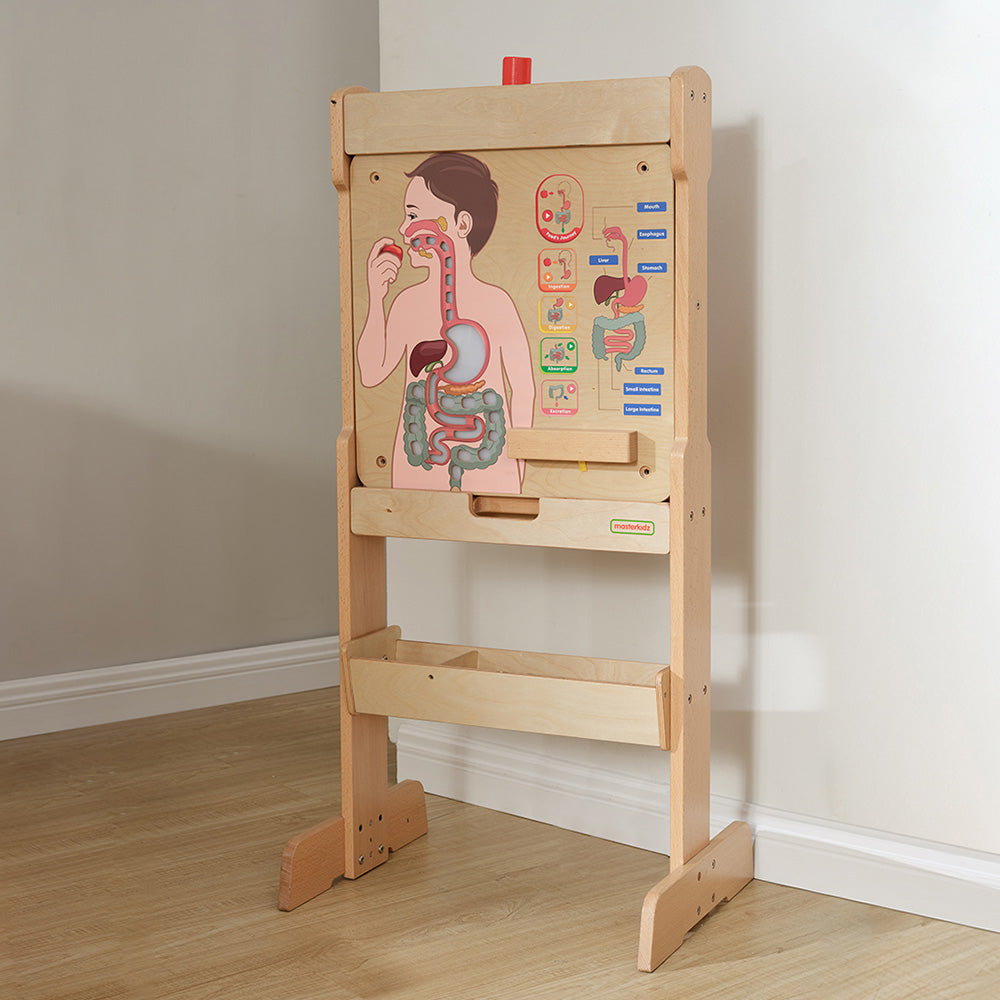 magnetic writing board and mirror board included art easel