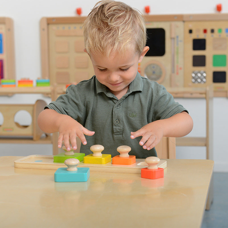 Montessori Color and Size Peg Puzzle