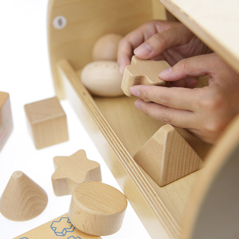Montessori Wooden Shape Learning Set
