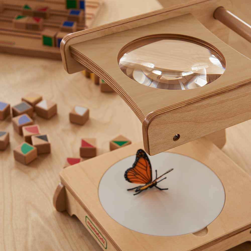 Classroom magnification tool for observing insects and natural objects.