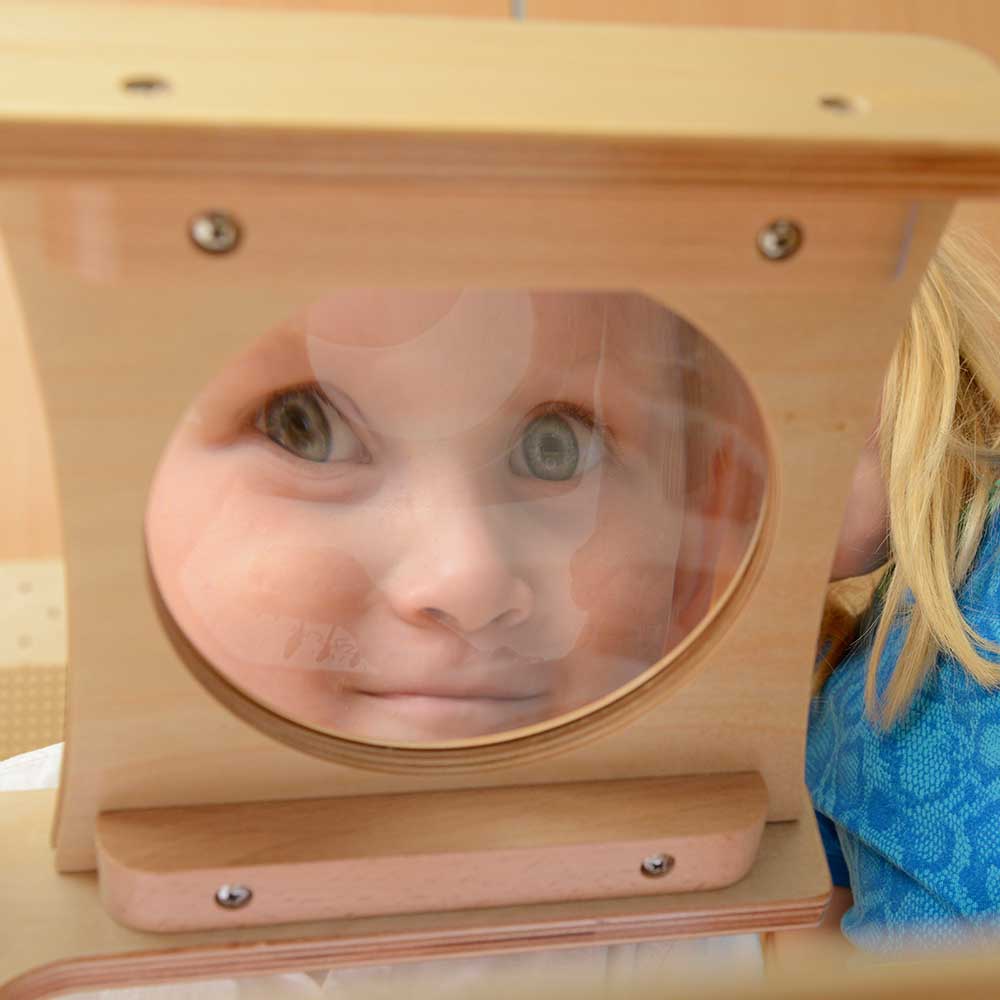 Magnifying stand with transparent stage placed on a light box.
