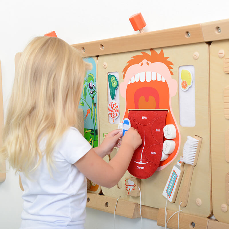 oral care learning wall panel