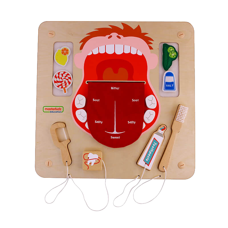 children’s dental hygiene wall panel