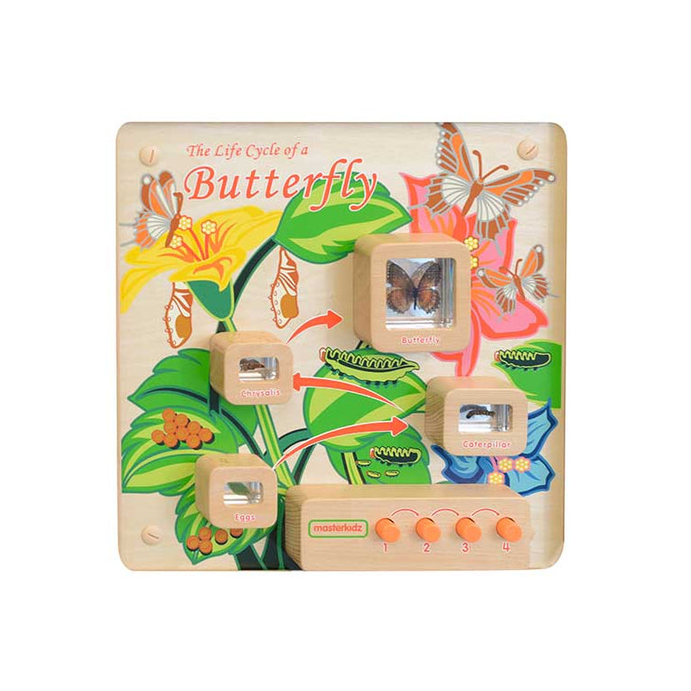 Masterkidz light-up butterfly life cycle wall board in classroom