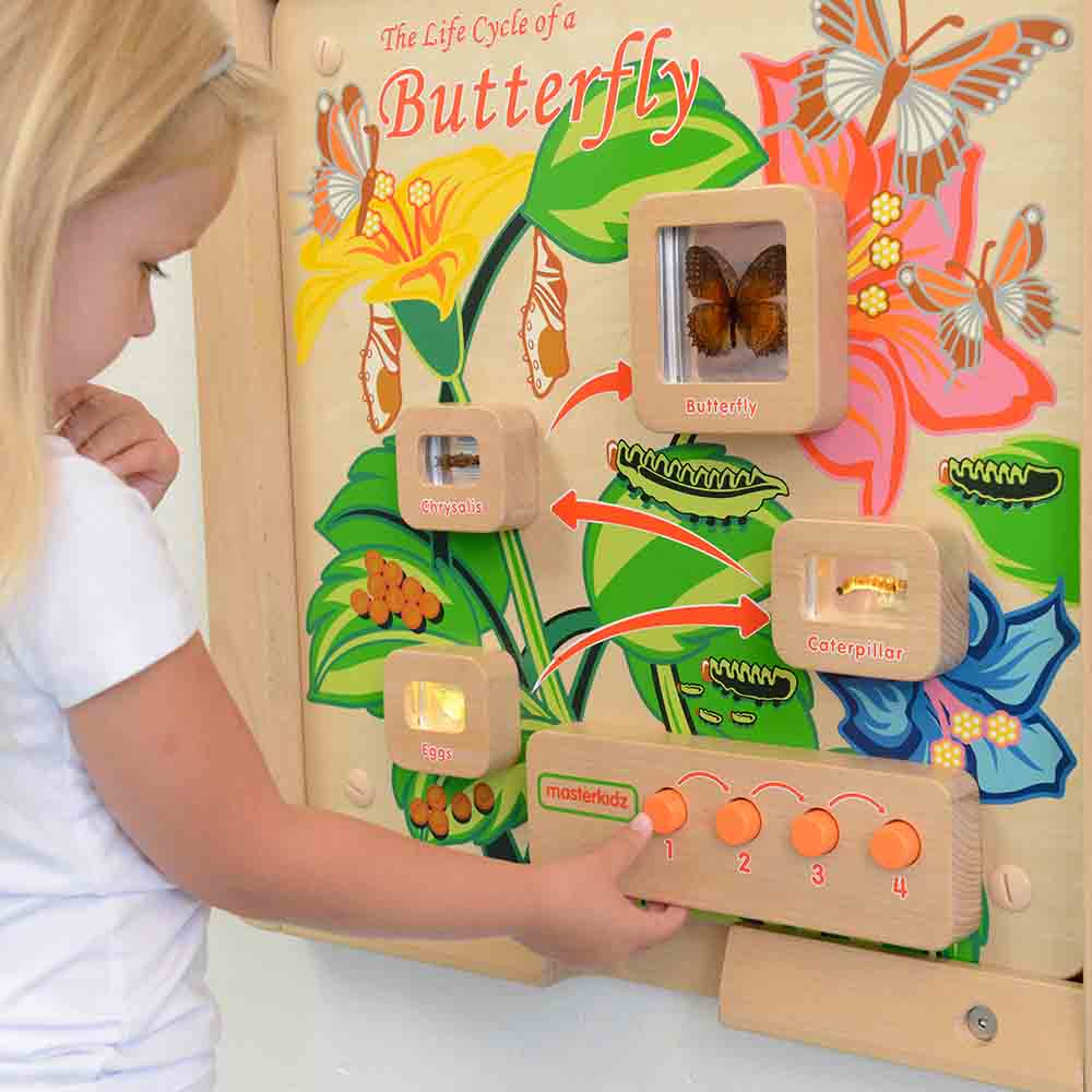 Children exploring butterfly metamorphosis with light-up science wall