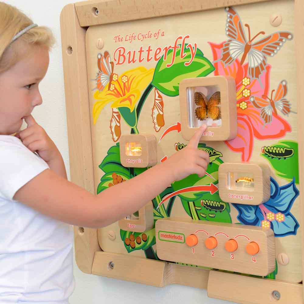 Butterfly life cycle wall activity for preschool and primary education