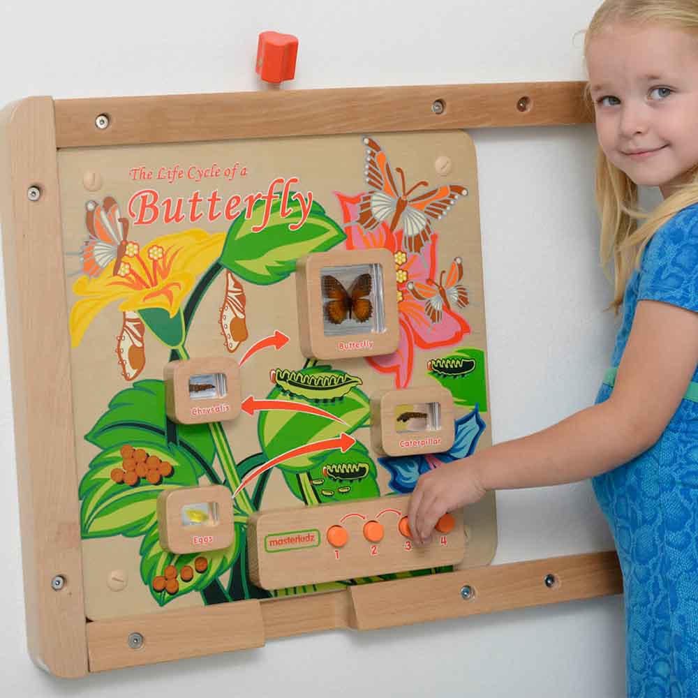 Educational butterfly life cycle learning board for schools