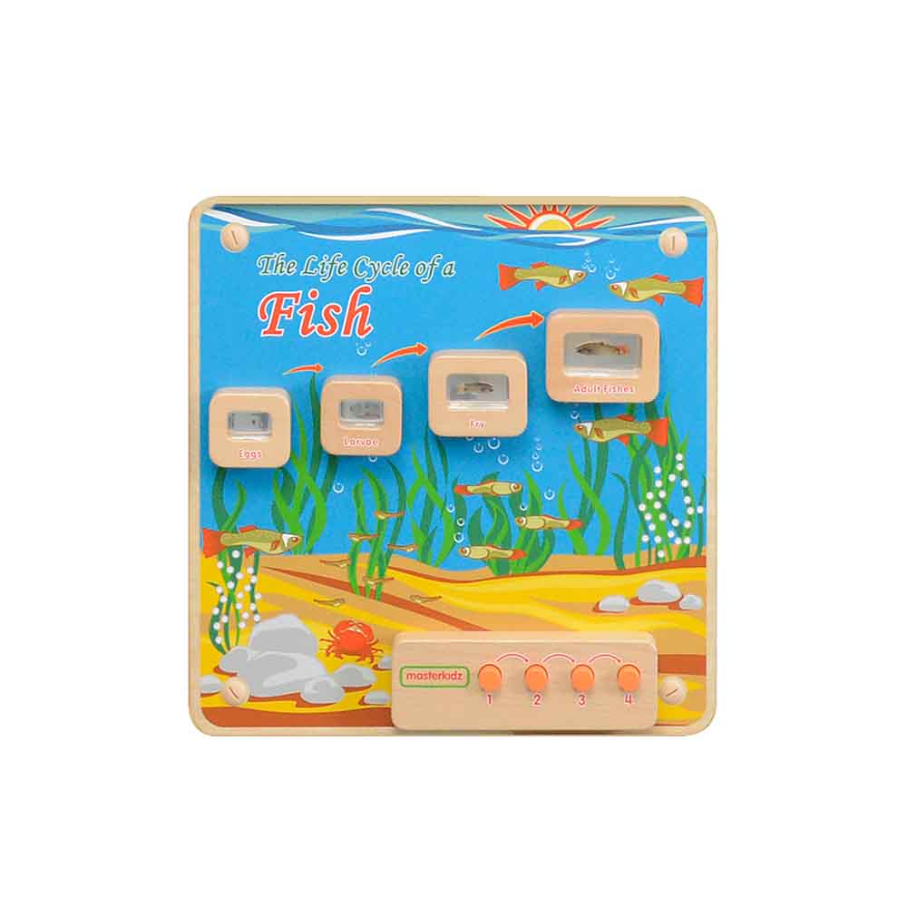 Masterkidz light-up fish life cycle wall board in classroom