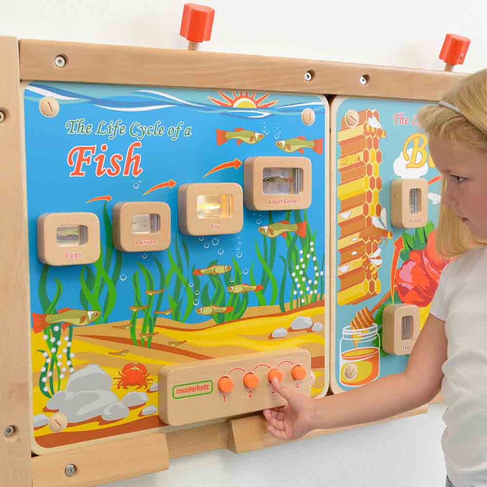 Educational fish life cycle learning board for schools