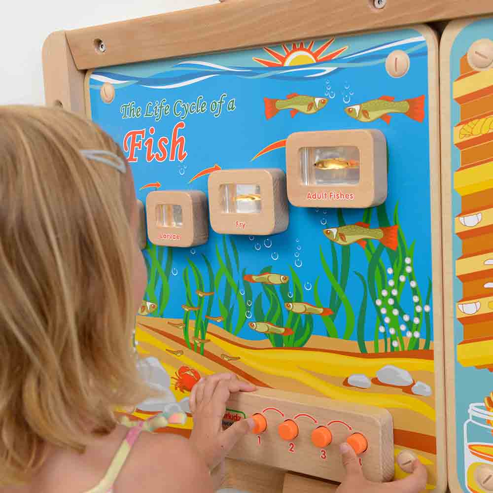 STEM biology learning wall panel for early education