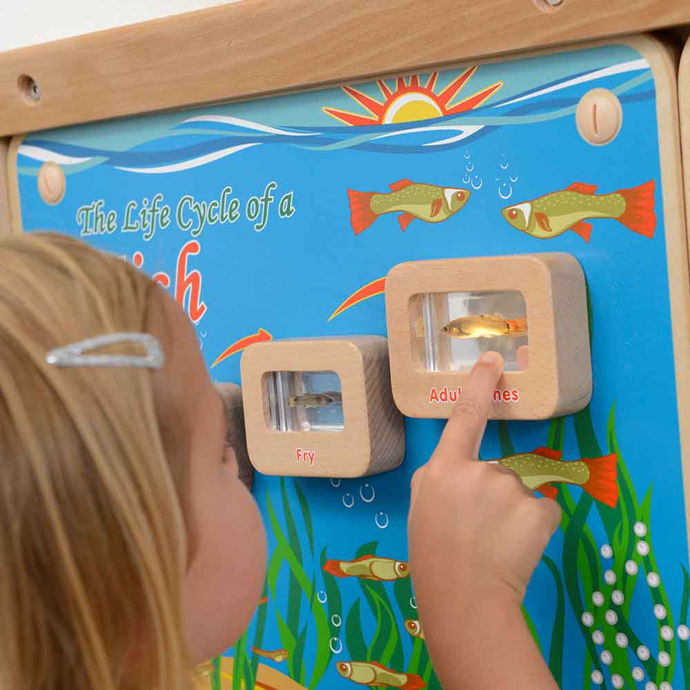 Kids observing fish eggs fry juvenile adult specimens display