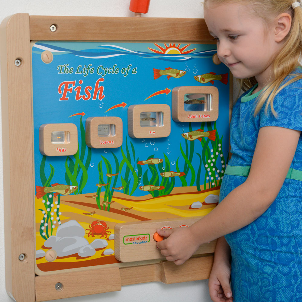 Children exploring fish development stages with light-up science board