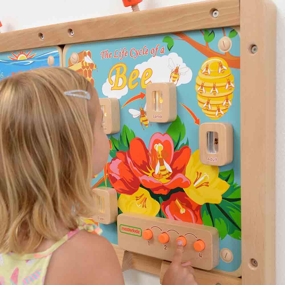 STEM biology wall panel for preschool and primary