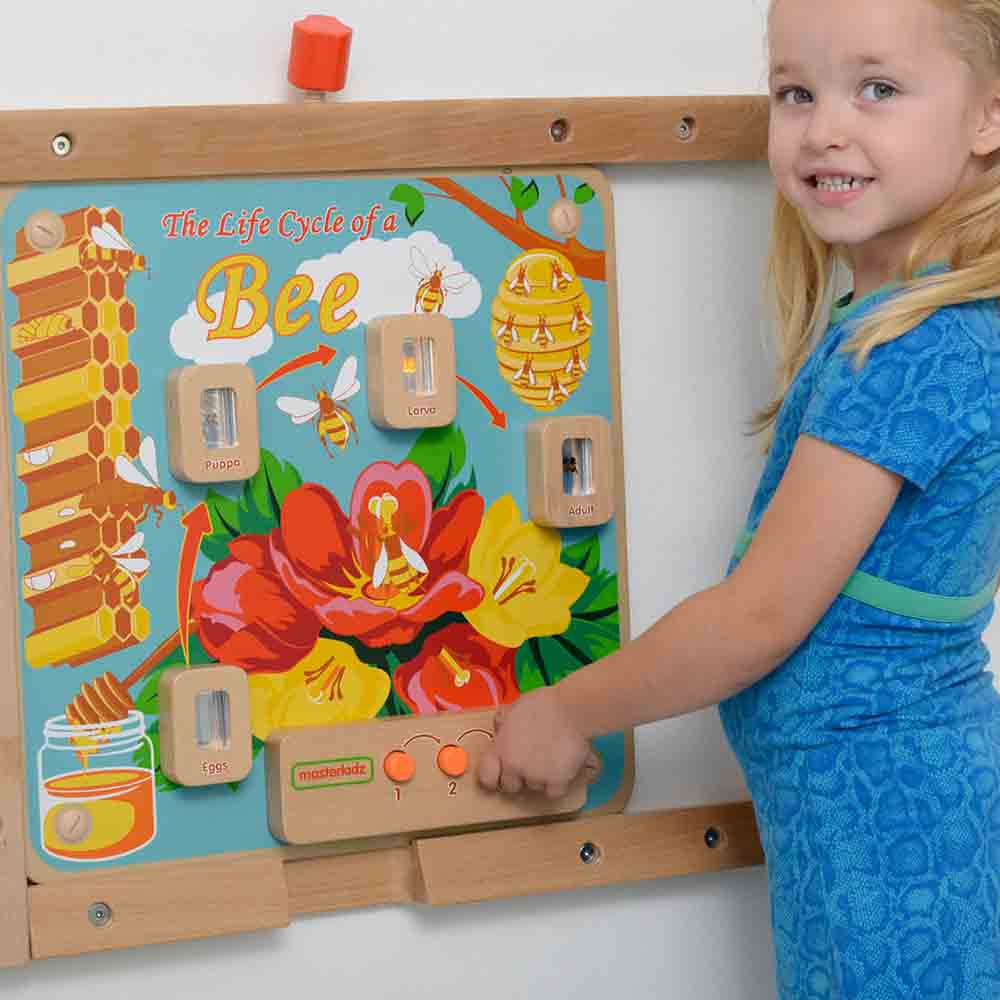 Interactive bee life cycle learning board for classroom