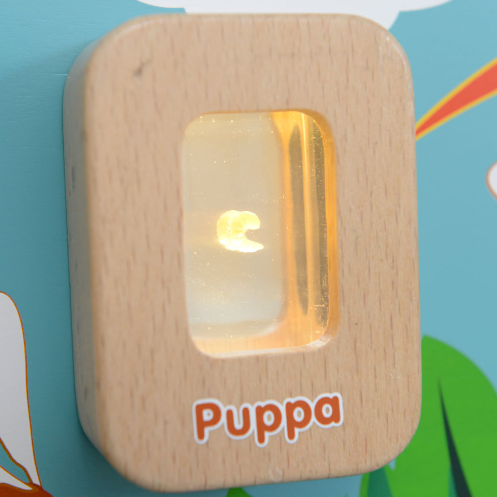 FSC wooden bee life cycle educational board for schools