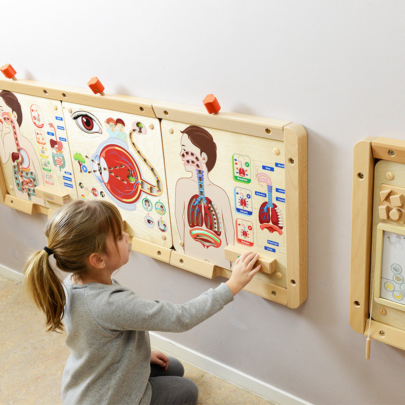 Kids exploring human anatomy with Masterkidz respiratory system model