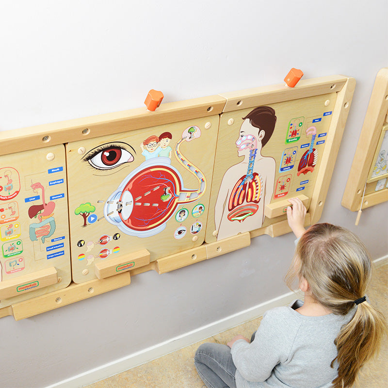 STEM learning toy for classrooms and home – respiratory system demonstration