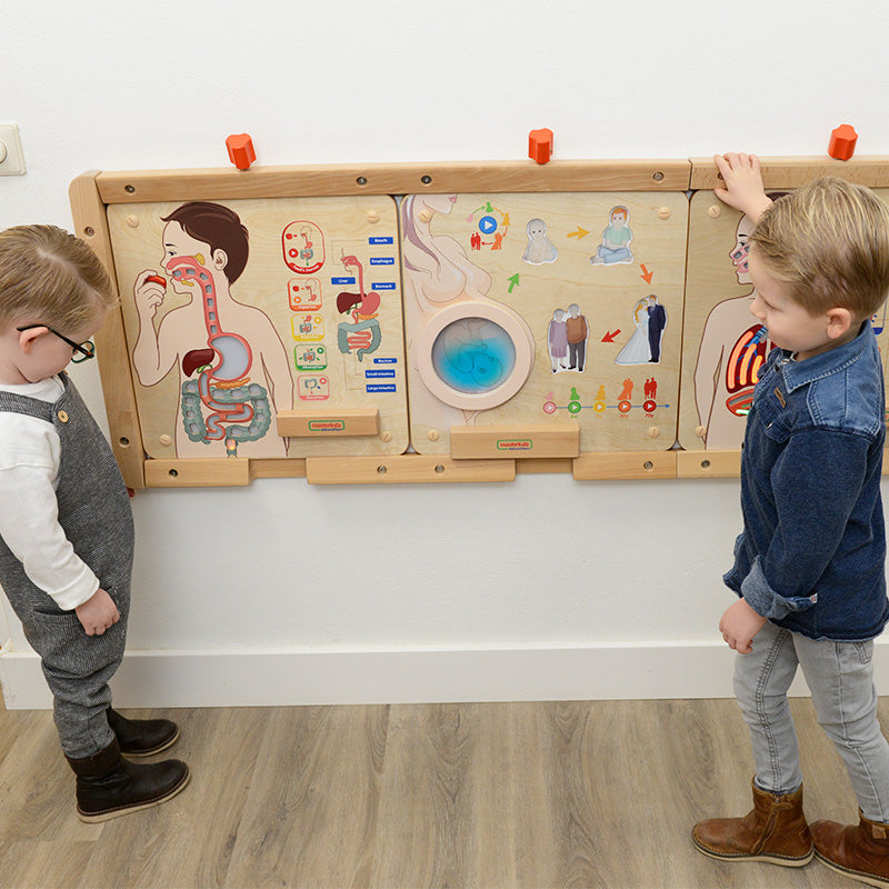 Hands-on science activity toy for toddlers – digestive organs and digestion process