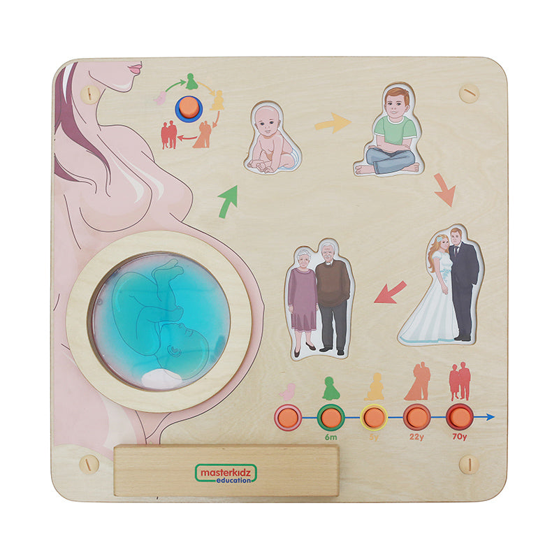 Masterkidz Wall Element – Life Cycle of a Human