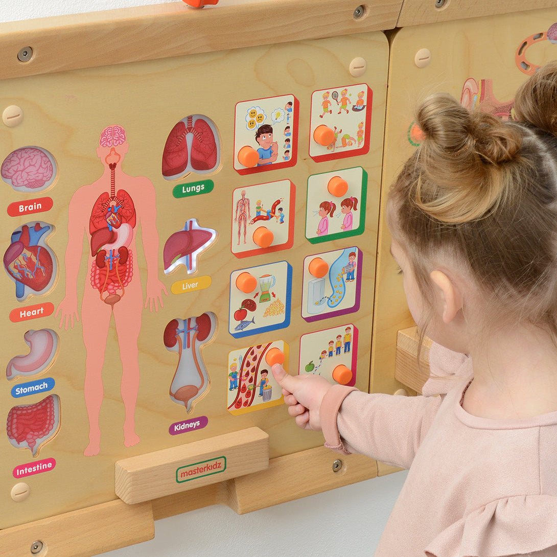 Kids exploring the heart and circulatory system with an educational wall toy