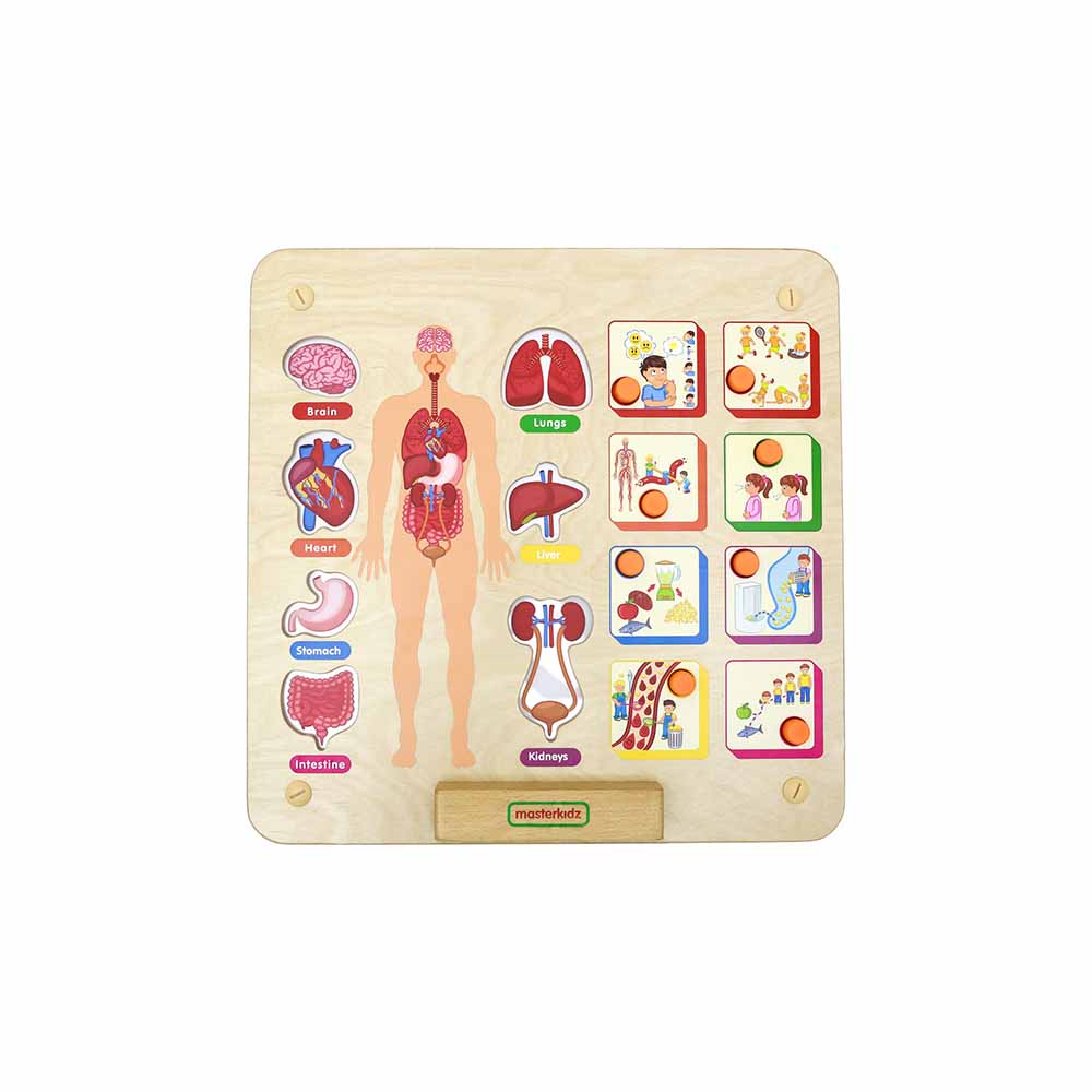 Safe, durable multi-layer plywood interactive wall board for kids