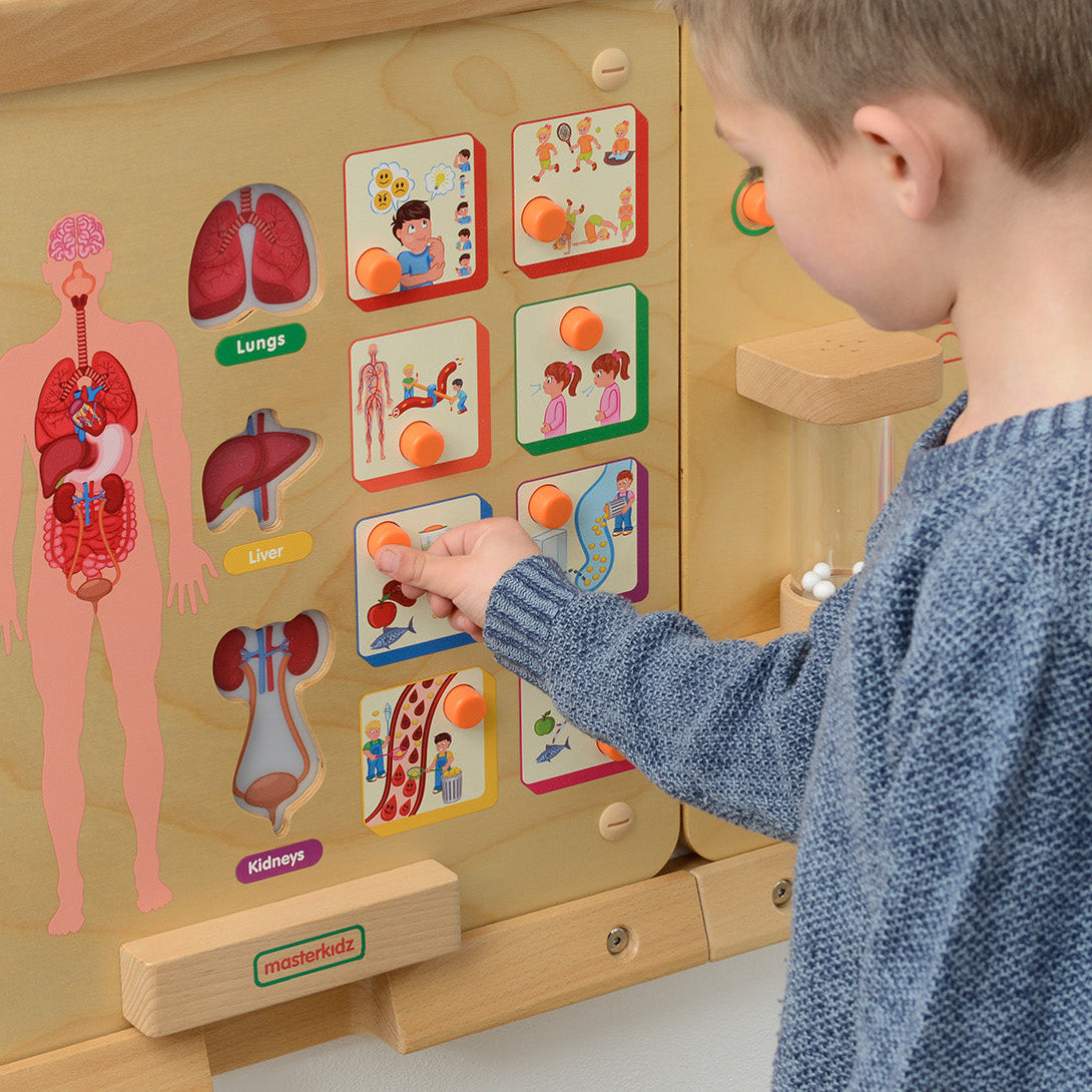 Learn about lung function and breathing with an interactive STEM board