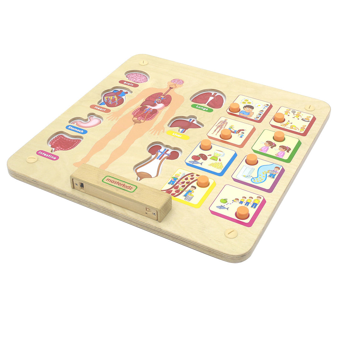 Masterkidz Human Body System Wall Board – full view of interactive STEM learning