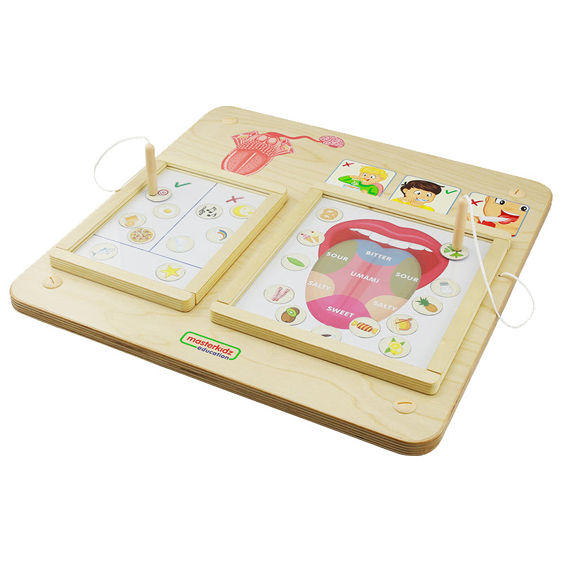 children taste zones educational sensory board