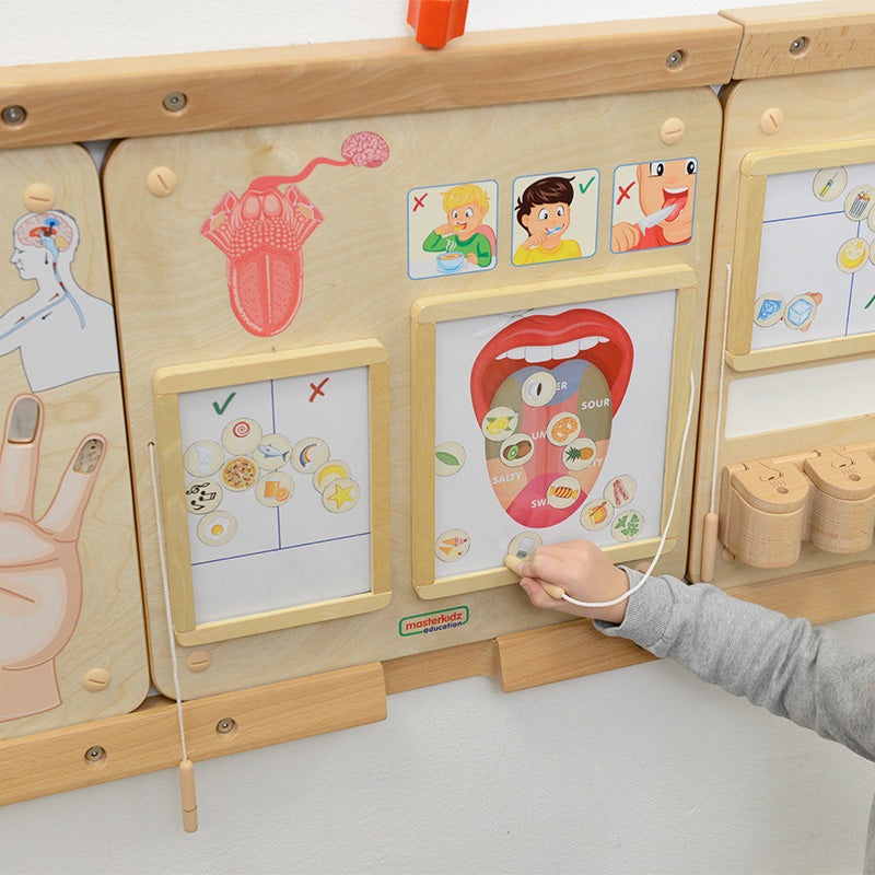 tongue taste learning toy for early science education