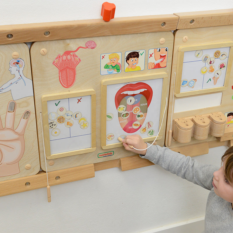 four taste zones matching activity board