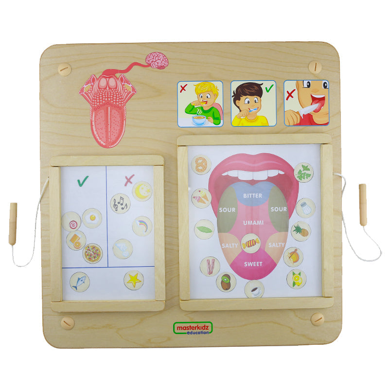 sweet salty sour bitter taste teaching tool