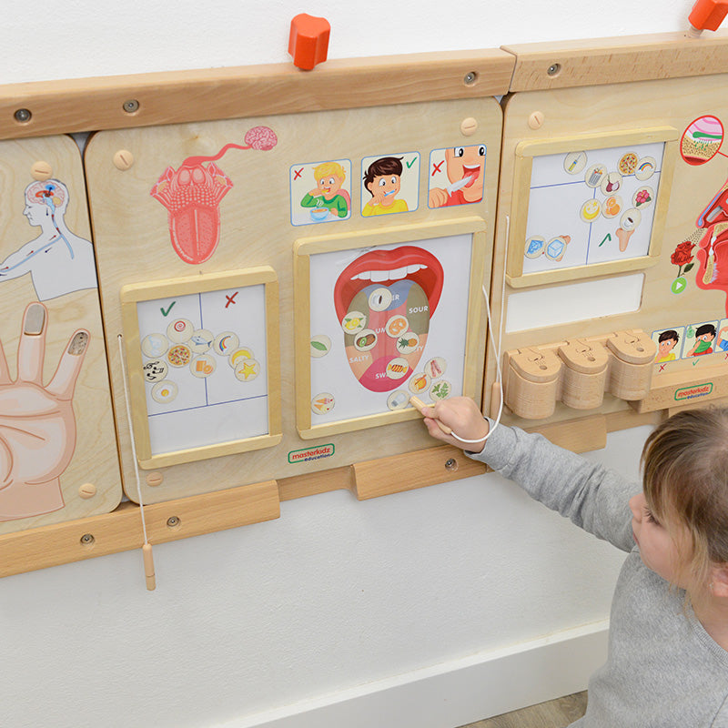 Masterkidz sense of taste learning board for kids