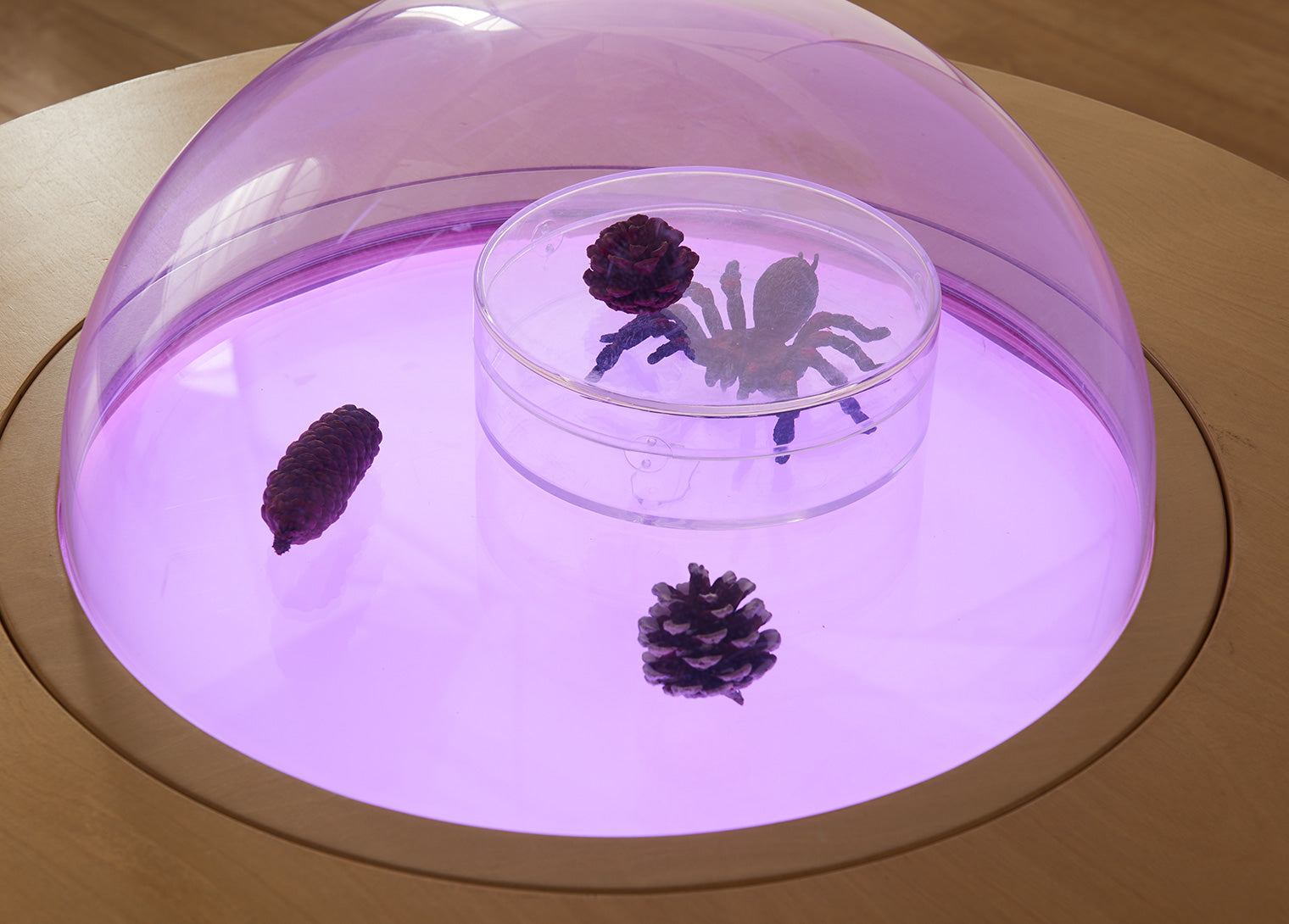 Close-up of the 540L light panel integration, showing vibrant color-changing effects under the discovery dome.