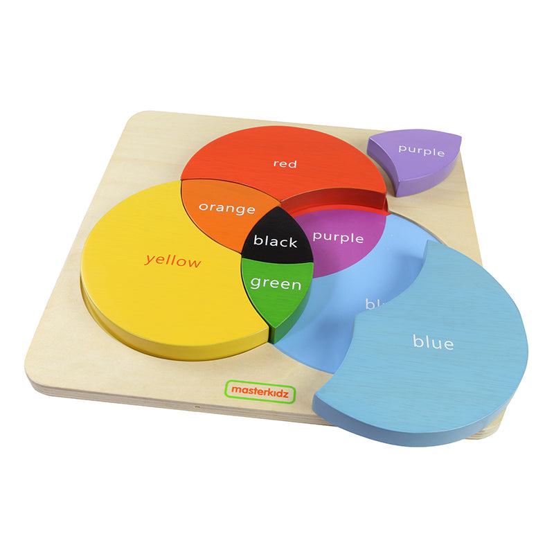Masterkidz color theory learning toy with hardwood pieces