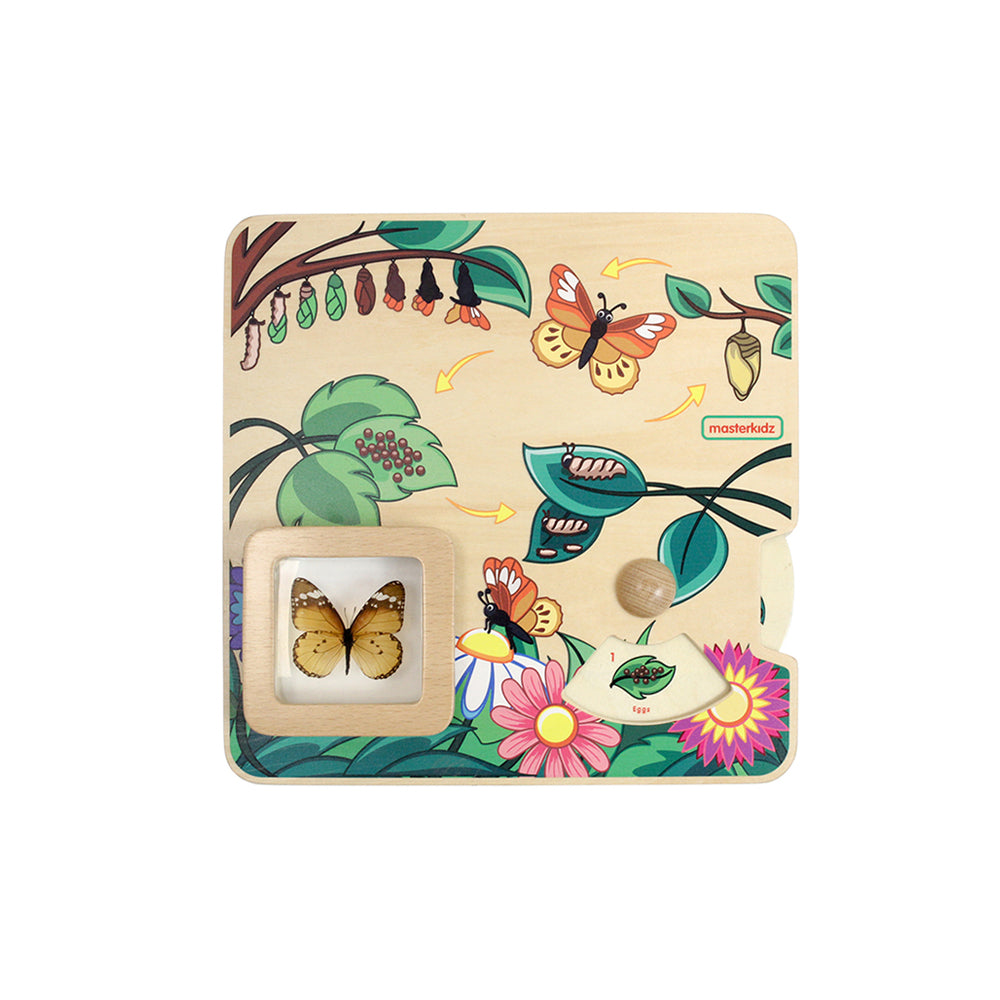 Interactive learning board featuring the life cycle of a butterfly.