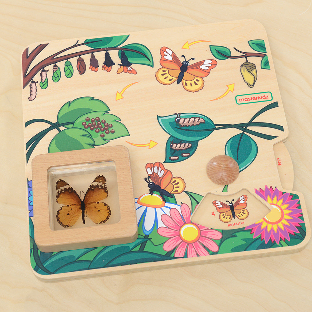 Bright and engaging design captures children’s curiosity.