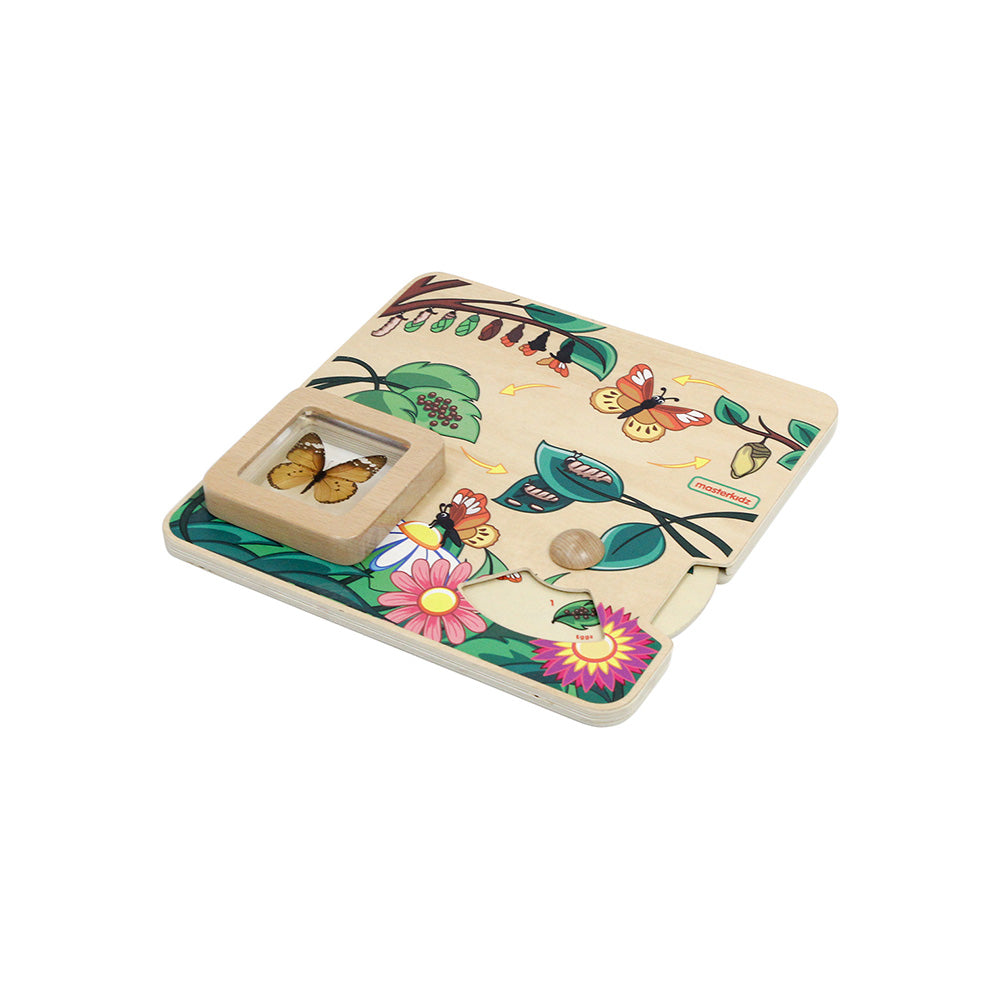 Supports sequence learning and cognitive development.