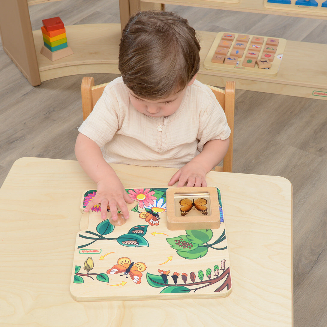 Includes a real butterfly specimen for observation and study.