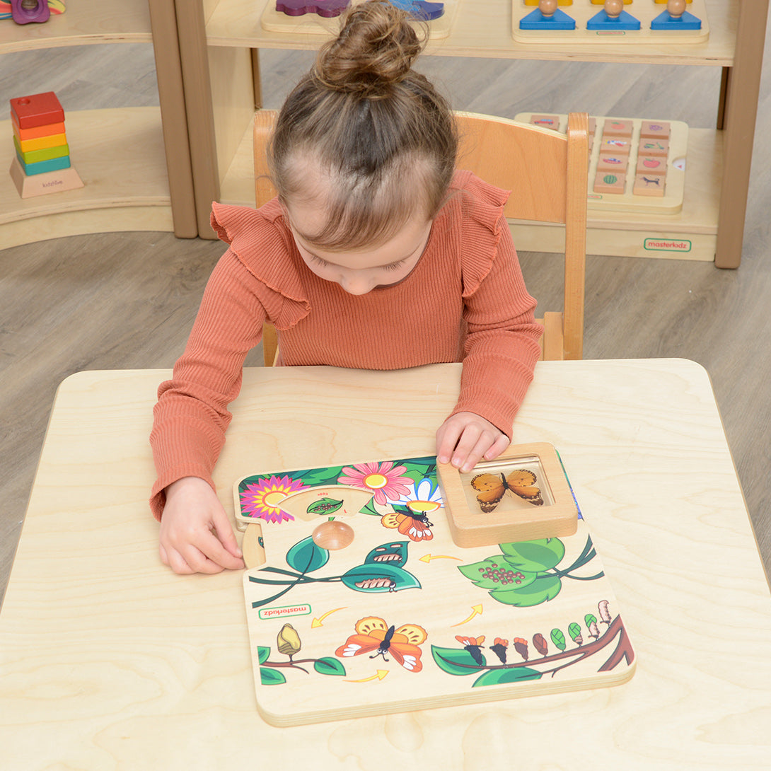 Spin the cycle wheel to explore the stages: egg, larva, pupa, adult.