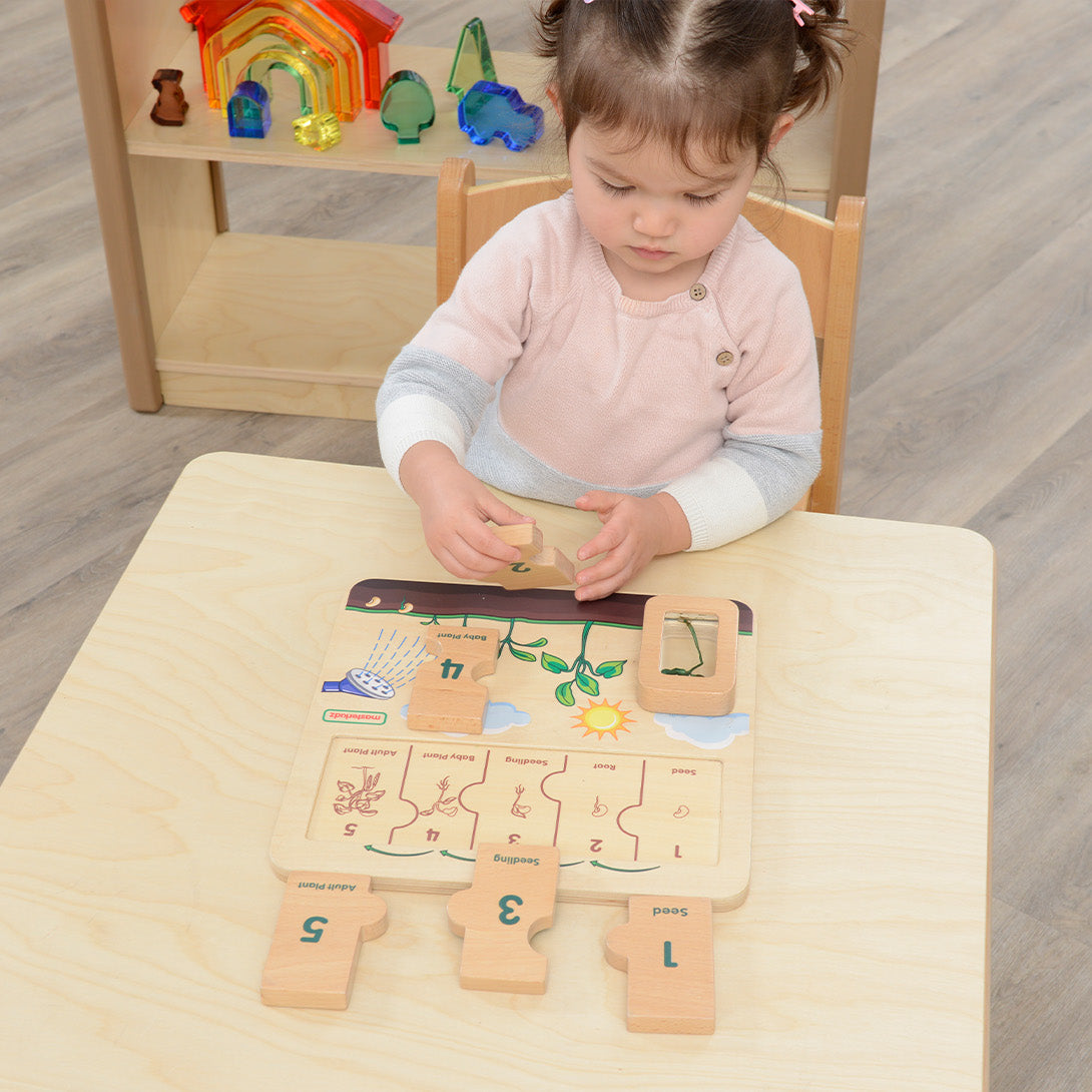 Five-piece Masterkidz plant life cycle educational board.