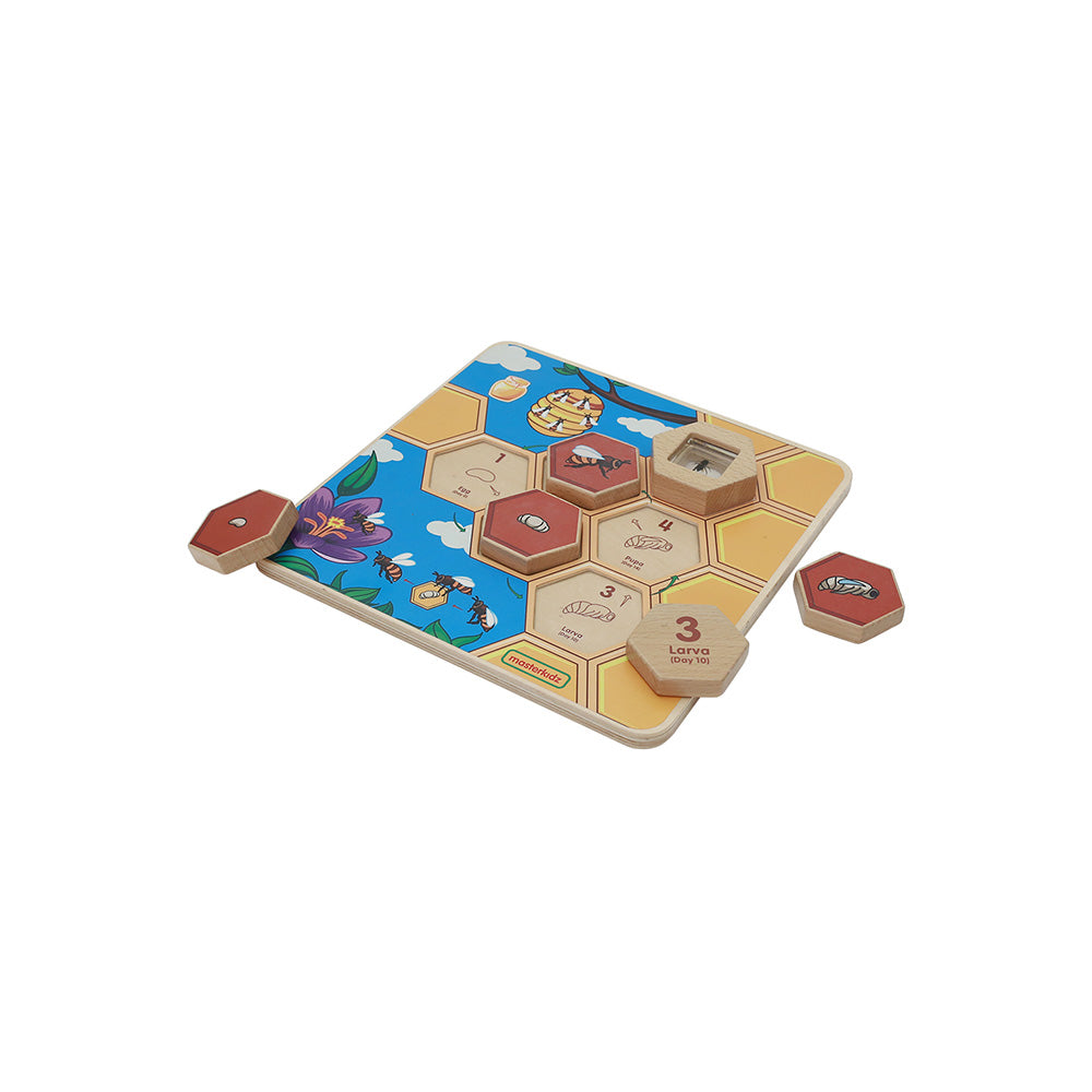 Promotes hands-on STEM learning and scientific curiosity.