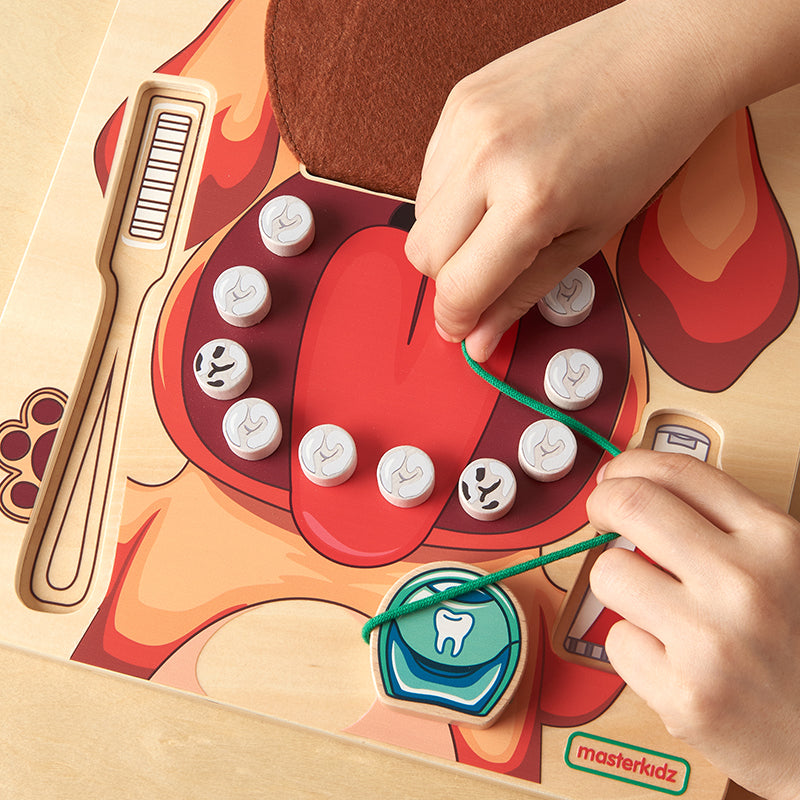 Masterkidz oral health board with toy toothbrush, toothpaste, and floss for learning dental care